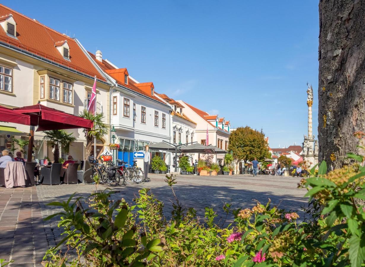 St Antoni Suite2 Stilvolle Ferienwohnung Mit Parkplatz In Eisenstadt Exterior foto
